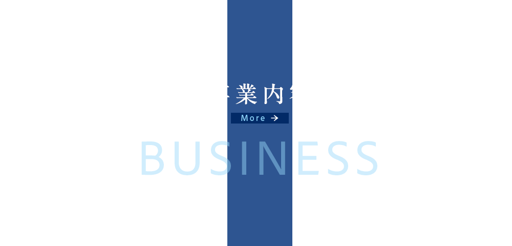 bnrhalf_business
